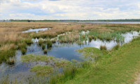 Engbertsdijkvenen